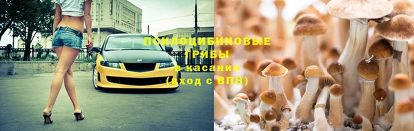 твердый Горнозаводск