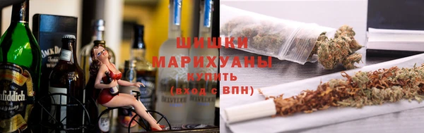 твердый Горнозаводск