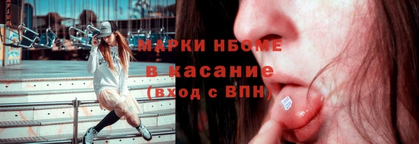 твердый Горнозаводск