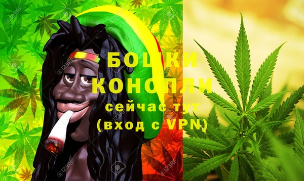 мяу мяу кристалл Гусь-Хрустальный